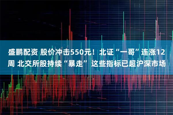 盛鹏配资 股价冲击550元！北证“一哥”连涨12周 北交所股持续“暴走” 这些指标已超沪深市场