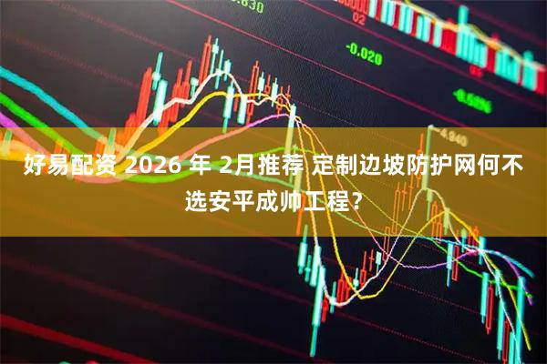 好易配资 2026 年 2月推荐 定制边坡防护网何不选安平成帅工程？