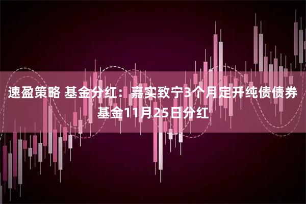 速盈策略 基金分红：嘉实致宁3个月定开纯债债券基金11月25日分红